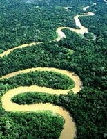 Amazonie-peru-rioamazonas