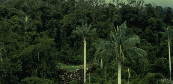 Parc National de Cutervo