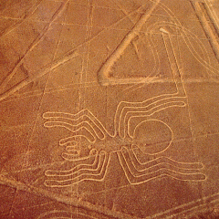 Les lignes de Nazca