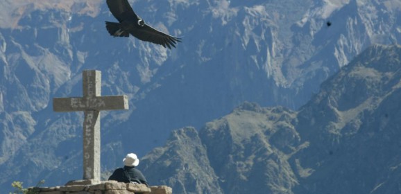 Canyon du Colca :  Les plus grands oiseaux dans le canyon le plus profond du monde