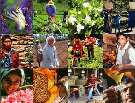 Économie du Pérou Voyage et Tourisme au Pérou