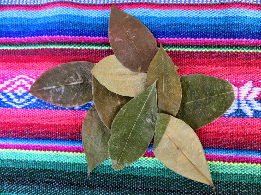 La feuille de coca au Pérou, Produits de la terre Voyage et Tourisme au Pérou